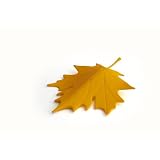Qualy Leaf Door Stopper - Yellow