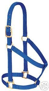 Weaver Large Horse Nylon Halter Heavy Duty 2 Ply Red