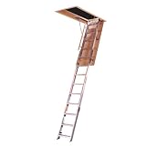 Werner A2510 10-Foot 300-Pound Duty Rating Aluminum Folding Access Ladder