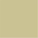  : Maidenform Lite Bra,Body Beige,36C