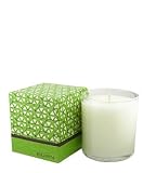 Fresh Grass Candle by BURN FRESH