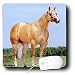Horse - Palomino Quarter Horse - Mouse Pads