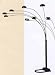 Black Fanned Floor Lamp