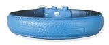 20 Blue padded snake print leather dog collar