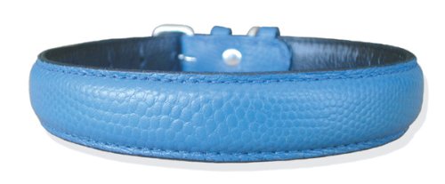 20 Blue padded snake print leather dog collar
