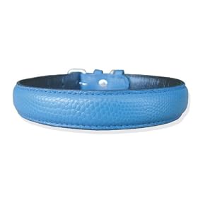 16 Blue padded snake print leather dog collar by Pet Jewelry