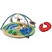 Toys : Boppy Entertain Me Play Gym