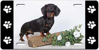 Dachshund License Plate