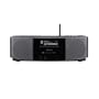Denon S-32 Internet Radio with Built-in Speakers and 2-Alarm Clock