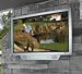 Outdoor 46 Inch Flat Screen LCD All weather Aluminum Enclosure HDTV Television 31ALGzDERhL. SL75 Outdoor 46 Inch Flat Screen LCD All weather Aluminum Enclosure HDTV Television