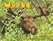 Moose 2010 Wall Calendar