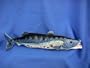 Barracuda Plush Toy