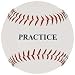 Sporting Goods : 12'' White Practice Softball (DZN)