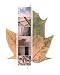Organics II by Thomas Weisenberger Fine Art Print / Poster 16.00 x 19.75 in.