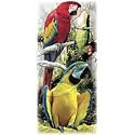 Parrots - Zoo Stripes Adult Sweatshirt