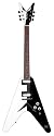 Dean Michael Schenker Custom Guitar with Case