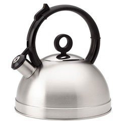 Andora Stainless Steel Teakettle