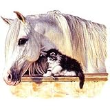 Pint Size Friend-Horse/Cat Youth Sweatshirt