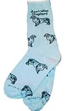 Australian Shepherd Poses Socks