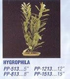 PP1213 12INCH HYGROPHILA 6