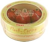 Giant Microbes Flesh Eating (Streptococcus pyogenes) Petri Dish