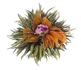 Teaposy 6 Pack Silver Needle White Tea Blossoms with Combo Flower: Heart of Love (Rose, Lily) TP04HL