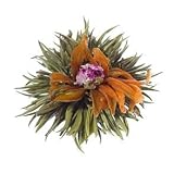 Teaposy 6er-Set Teeblumen "Heart of Love" mit Rosen-Bl�ten in sch�ner Probier- und Geschenkbox - ein tolles Geschenk zu Ostern, zum Muttertag oder zum Geburtstag! - Saisonende/Restposten