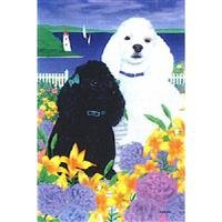 image link - - B0006NE5S4