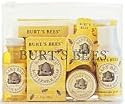 Baby Bee Getting Started Kit :: Set