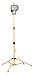 Coleman Cable 07777 One-Light 500-Watt Quartz Halogen Light with Tripod