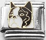 Clearly Charming Boston Terrier Canine Dog Breed Animal Pet Italian Charm