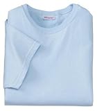 Hanes - Ladies Scoop Neck T-ShirtLight Blue-2XL
