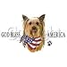 America-Yorkie Adult T-Shirt