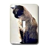 Cats - Siamese Cat - Light Switch Covers - single toggle switch