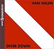 Diver Down