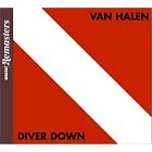 Click here to buy Diver Down by  Van Halen .