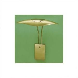 Raya Contemporary Picture Light in Satin Gold by Zaneen