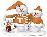Tennessee Volunteers 16.5x12 Table Top Snow Family - NCAA College Athletics