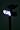 2 Super Bright Solar Spot/Flood Lights : Light is Clear