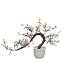 Glass Bonsai Flower Tree