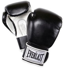 Everlast 12-Ounce Pro Style Muay Thai Gloves