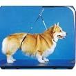 No-Sit Haunch Holder Dog Grooming Restraint Sm Med Dogs