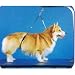 No-Sit Haunch Holder Dog Grooming Restraint Sm Med Dogs
