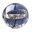 Ecosphere - Small Round
