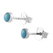 Sterling Silver Turquoise Color Stud Earrings