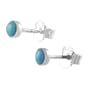 Sterling Silver Turquoise Color Stud Earrings