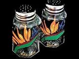 Bird of Paradise Design - Hand Painted - Salt & Pepper Shakers, 2.5 oz., Set of 2