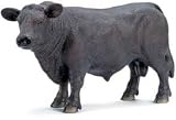 Black Angus Bull