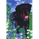 Rottweiler Garden Flag by GR8 Dogs (Multi , 12â x 18â )