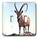 Farm Animals - Nubian Goat - Light Switch Covers - double toggle switch